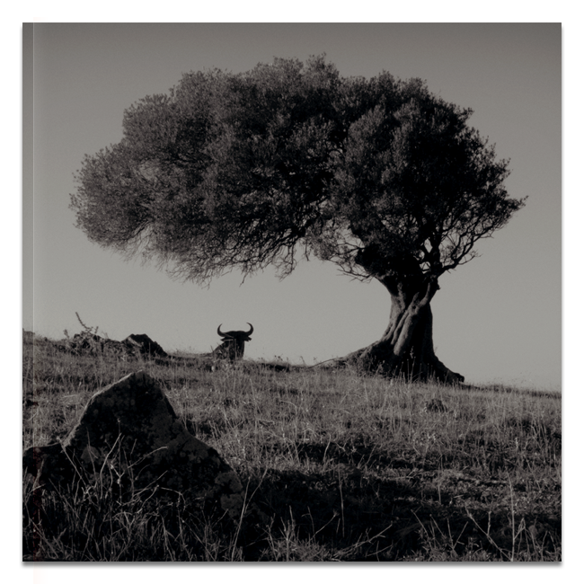 imagen libro